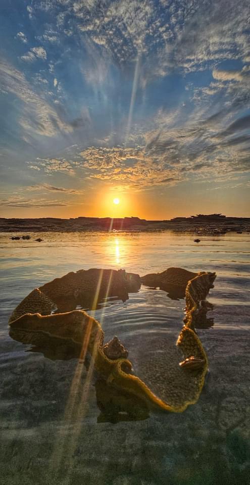 A Beautiful Sunrise to Start the Day
