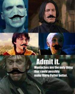 An Old Meme, But I Still Totally Agree!