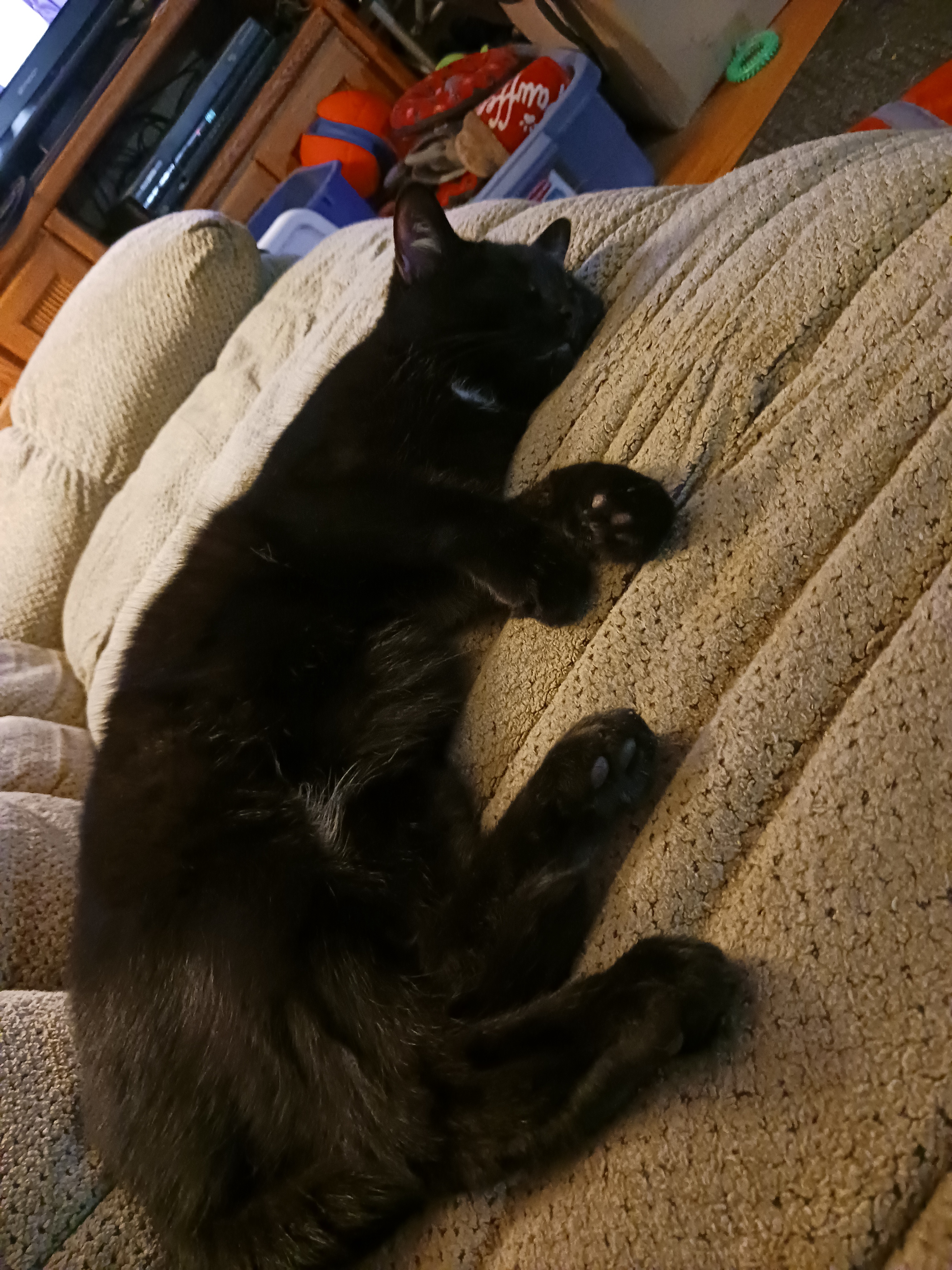 She was just too adorable to handle!