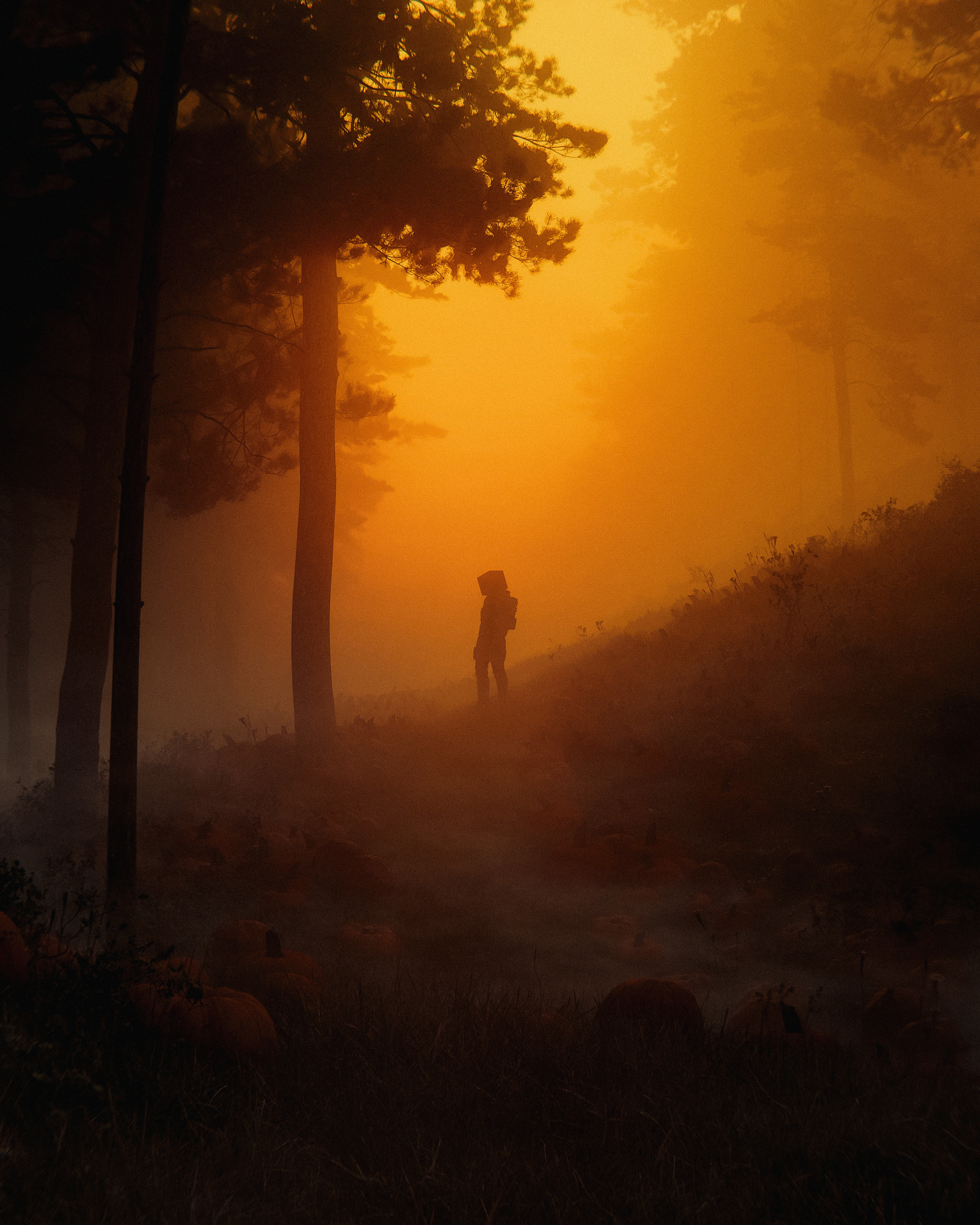 The eerie dawn of Halloween, captured by Huleeb