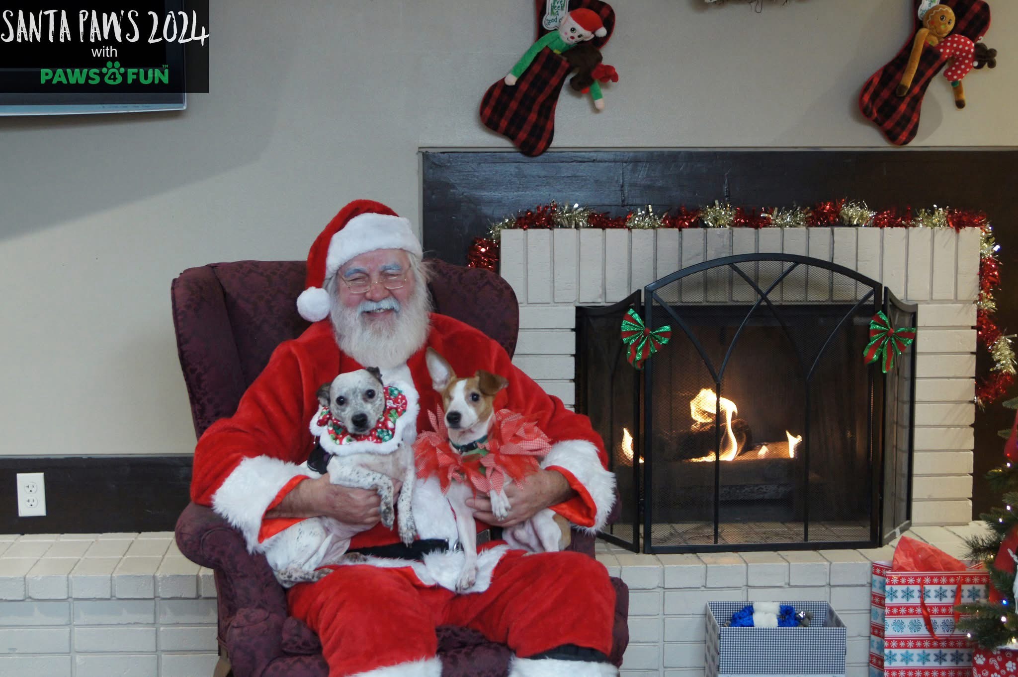 Season's Greetings from Fiona and Pip!