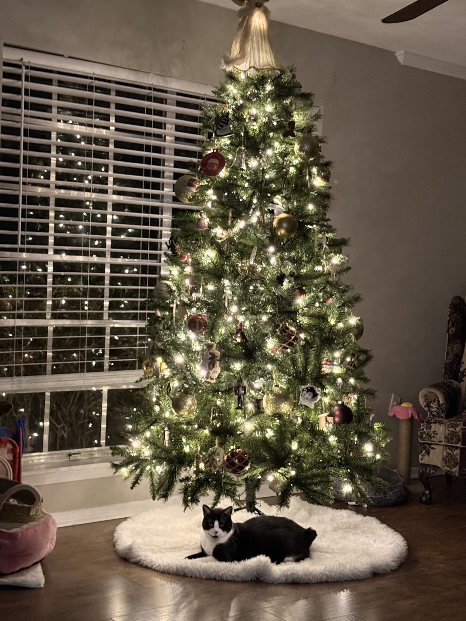Nubs Spreads Holiday Cheer with Merry Christmas Wishes