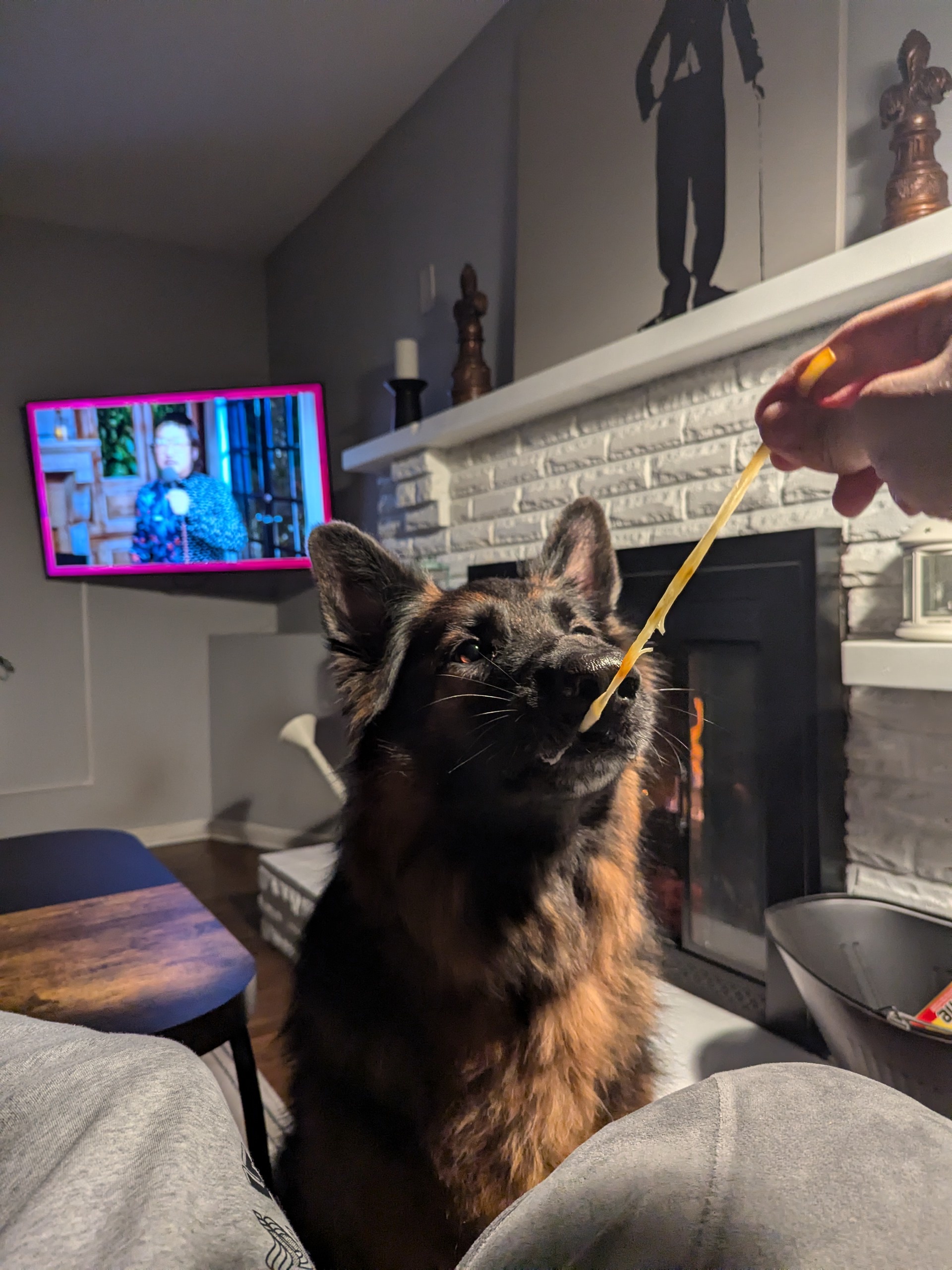 Ramzey Indulging in Some Delicious Cheese