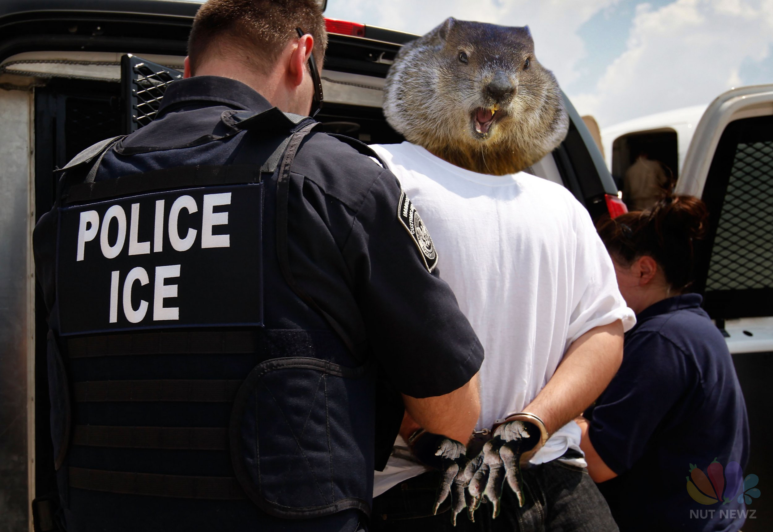 Punxsutawney Phil Gets Caught in a Hilarious ICE Incident After Emerging from Hibernation