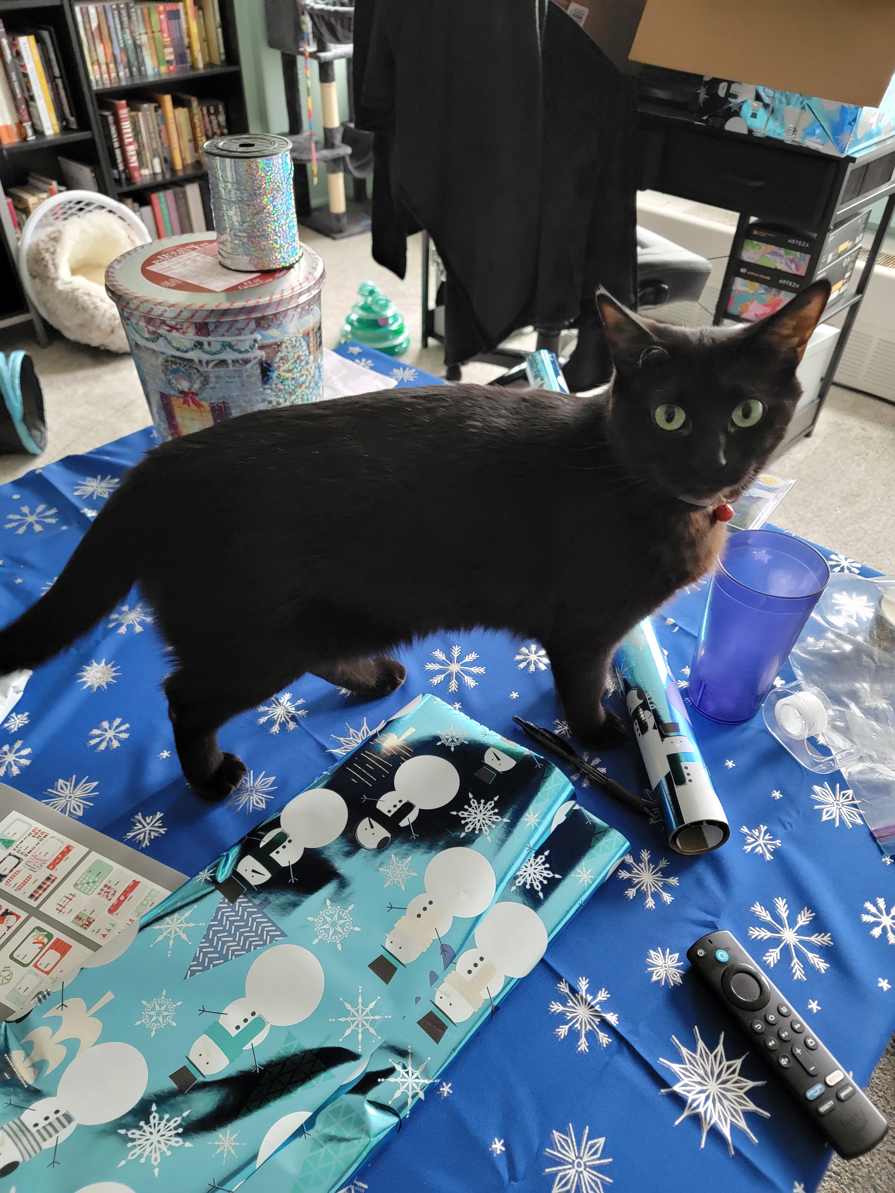 Meet Nyx: Your Helpful Companion!