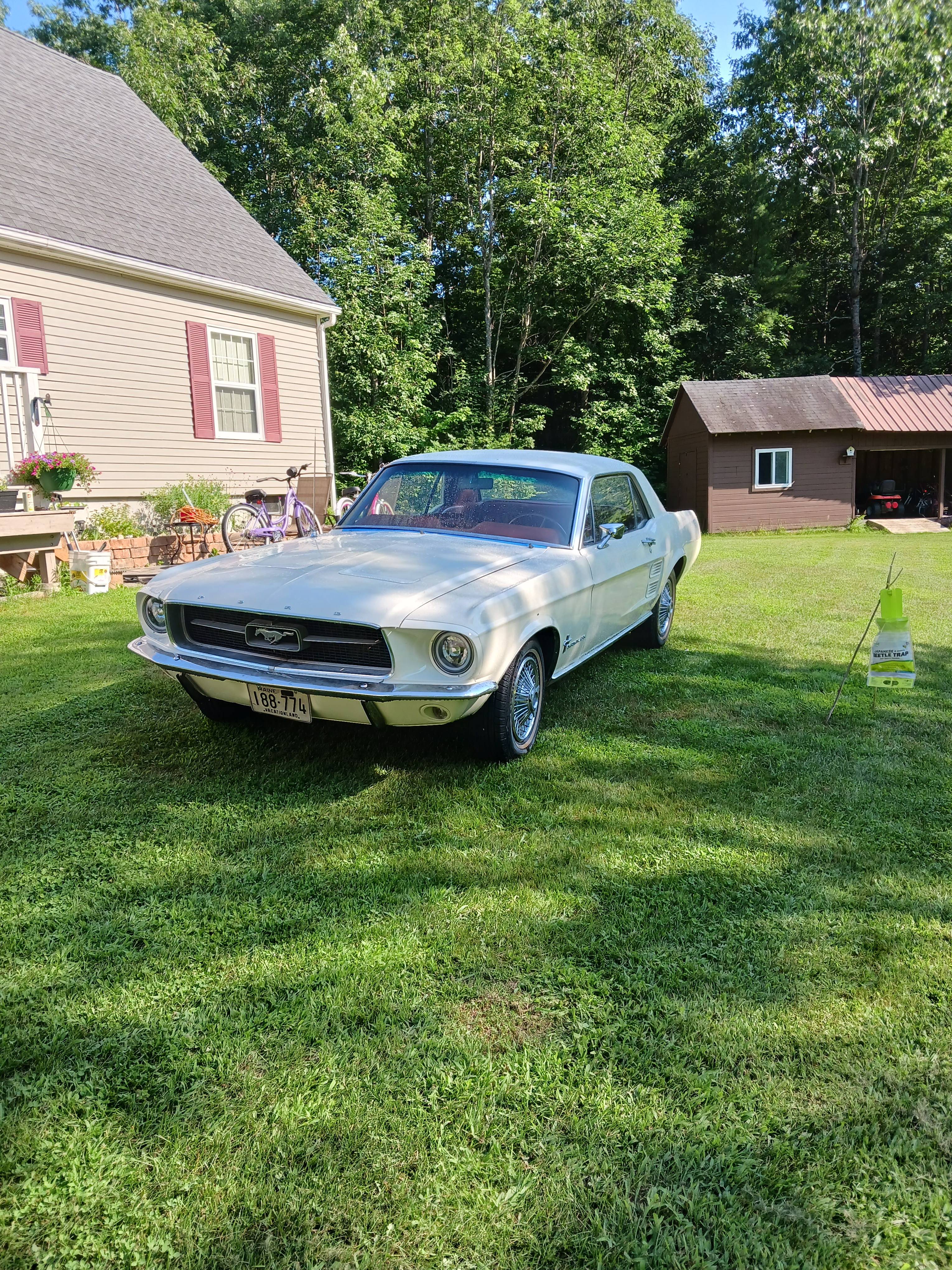 Behold the classic 1967 Mustang Coupe, a timeless beauty.