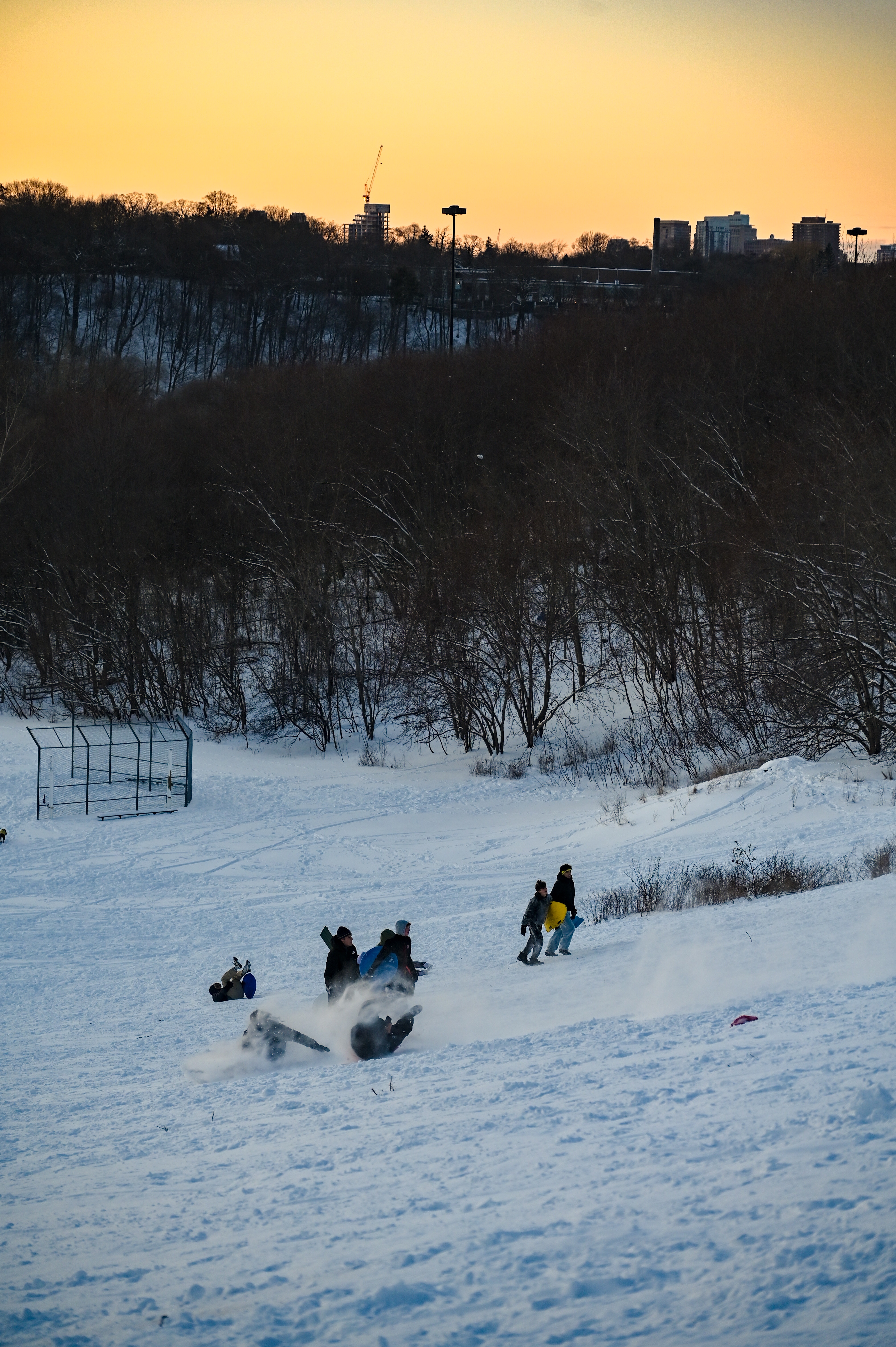 A Winter Wonderland: Snow Day Adventures