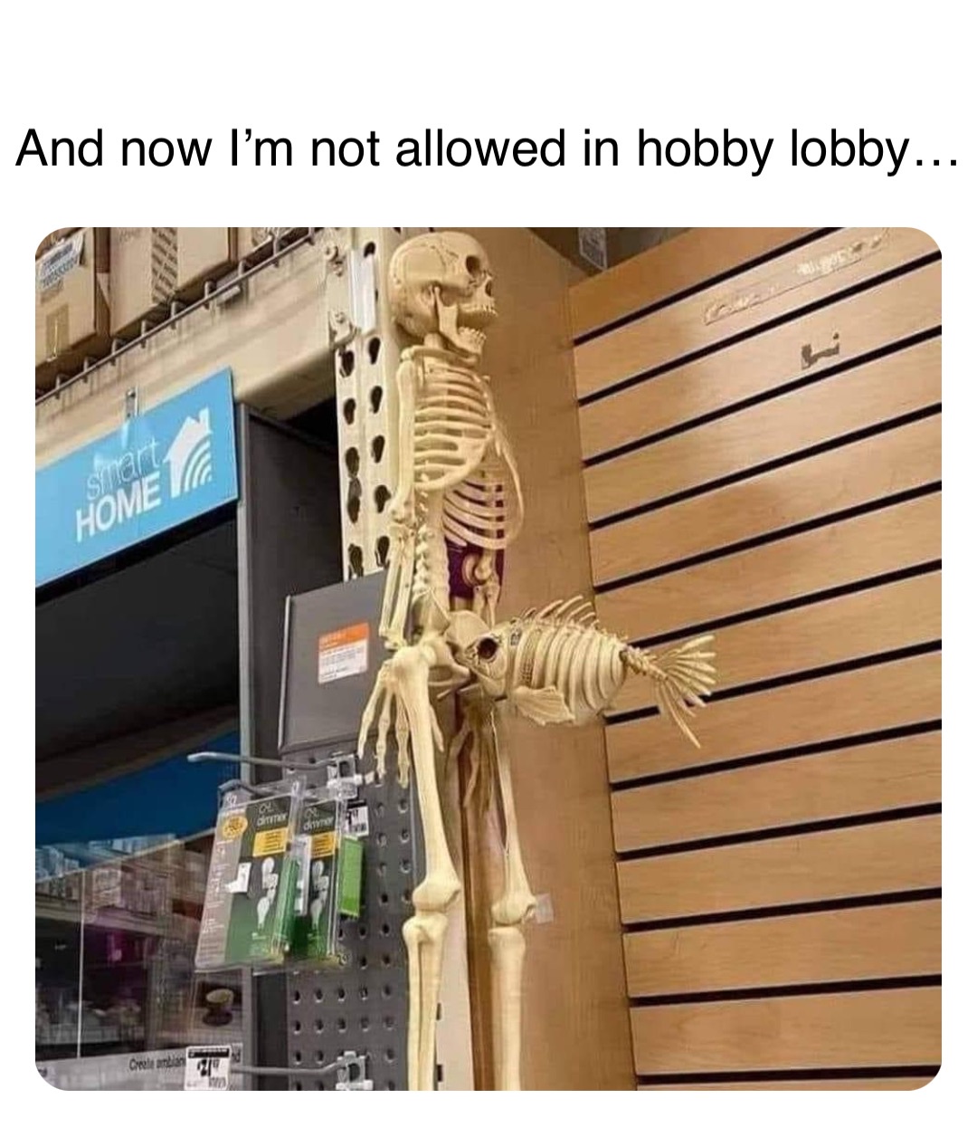 Hobby Lobby: A Treasure Trove of Memes