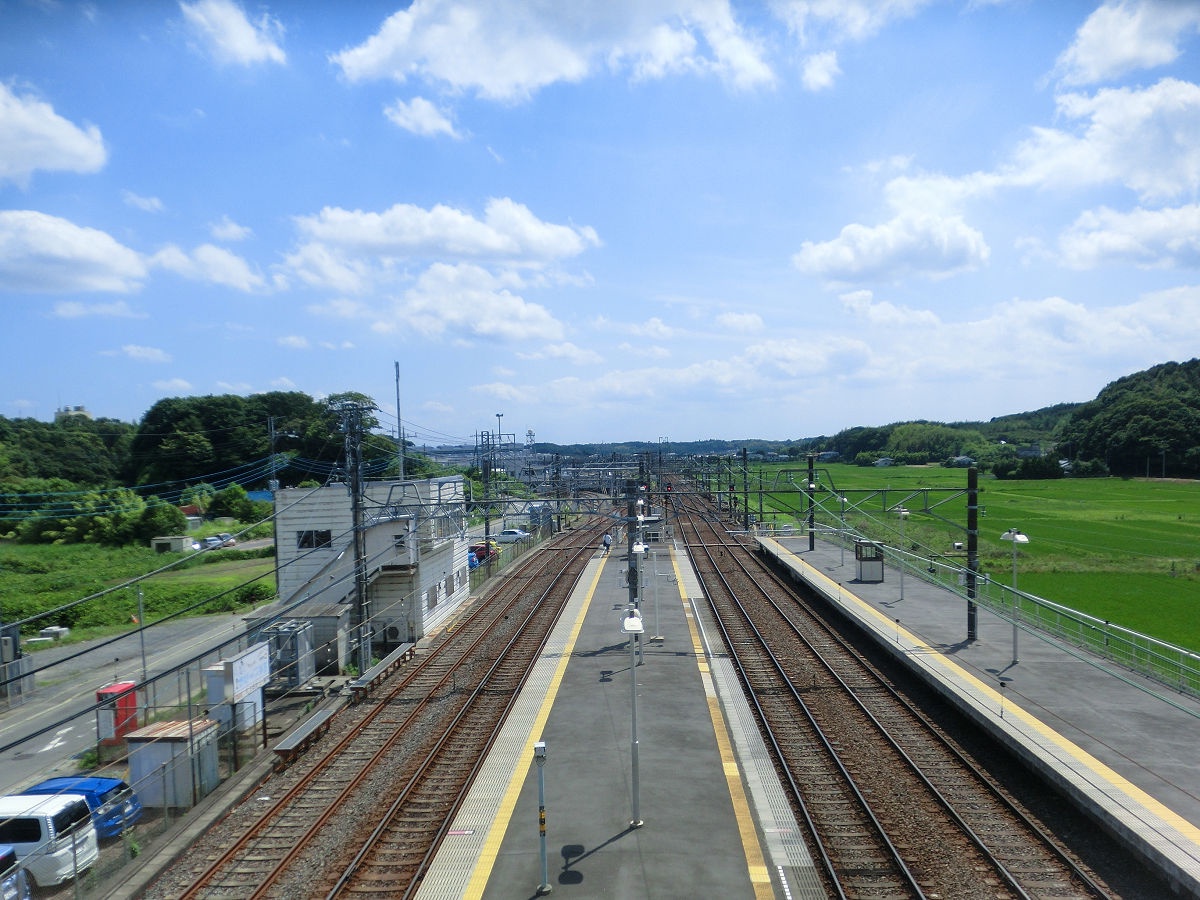 A Glimpse Back to June 2015 in Sogo-sando, Chiba Prefecture