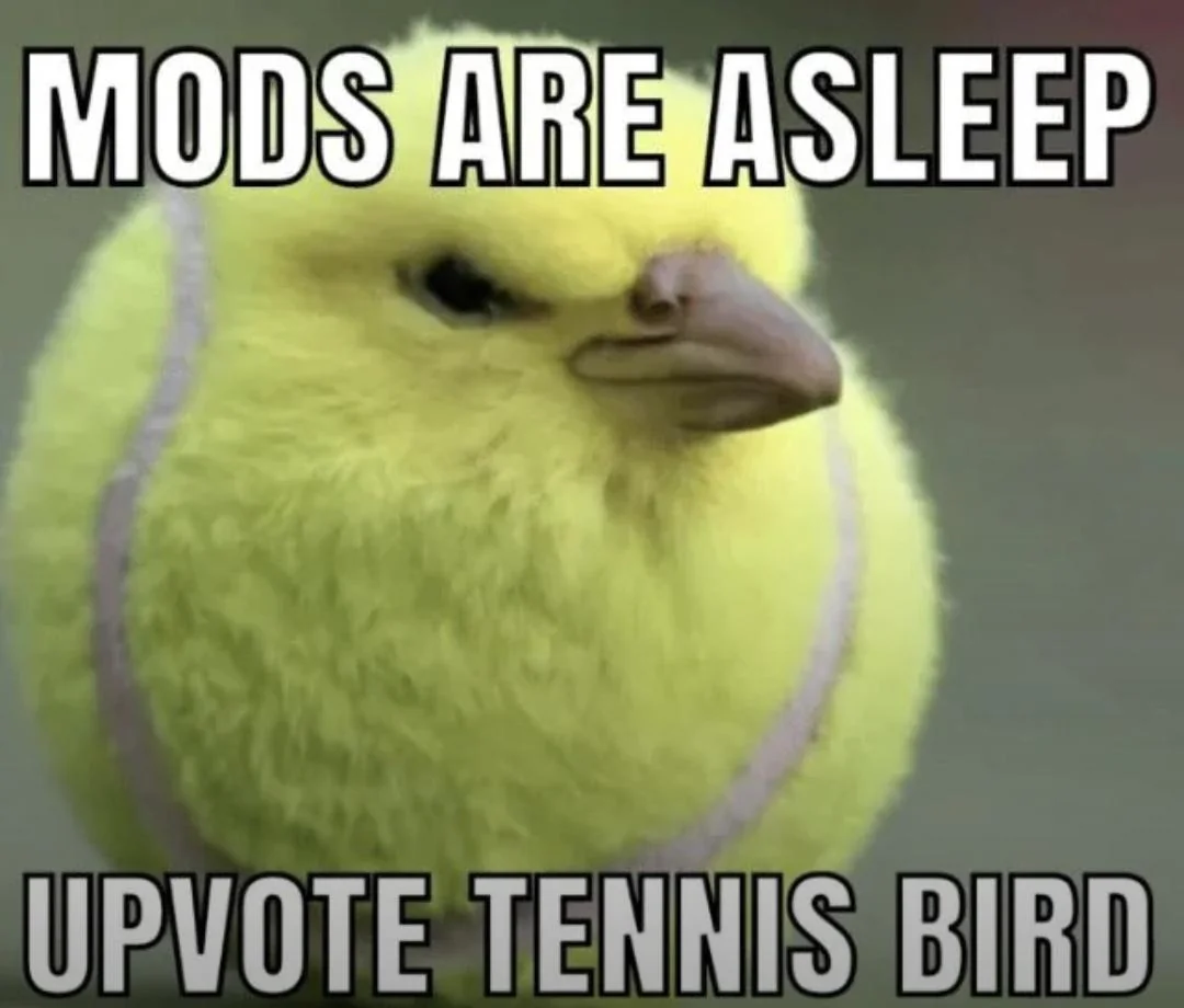 Hurry Up! The Next One Wakes Up in Just 4 Hours