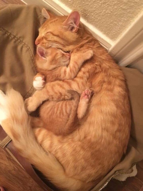 Sending Huggles Your Way!