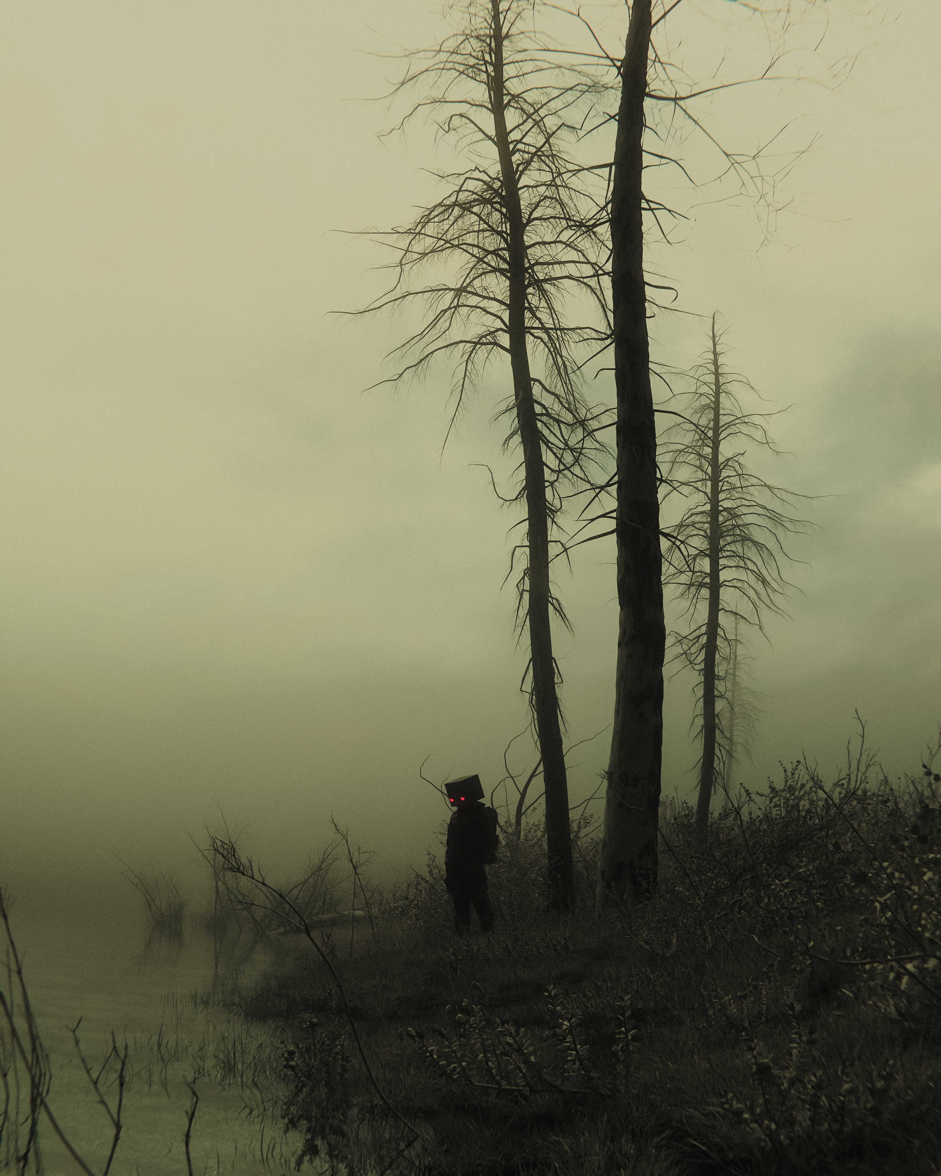 A Memorable Event on This Shore, Captured by Huleeb