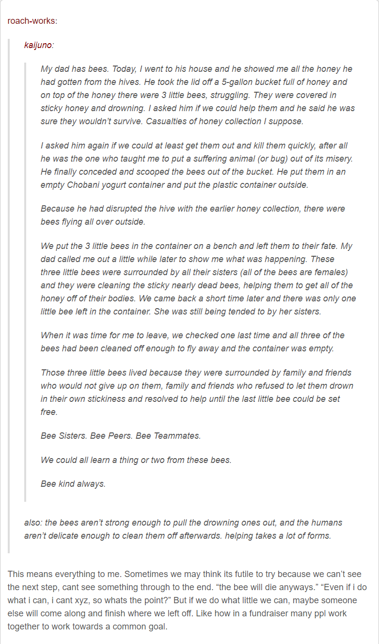 A valuable lesson we can learn from the hardworking bees
