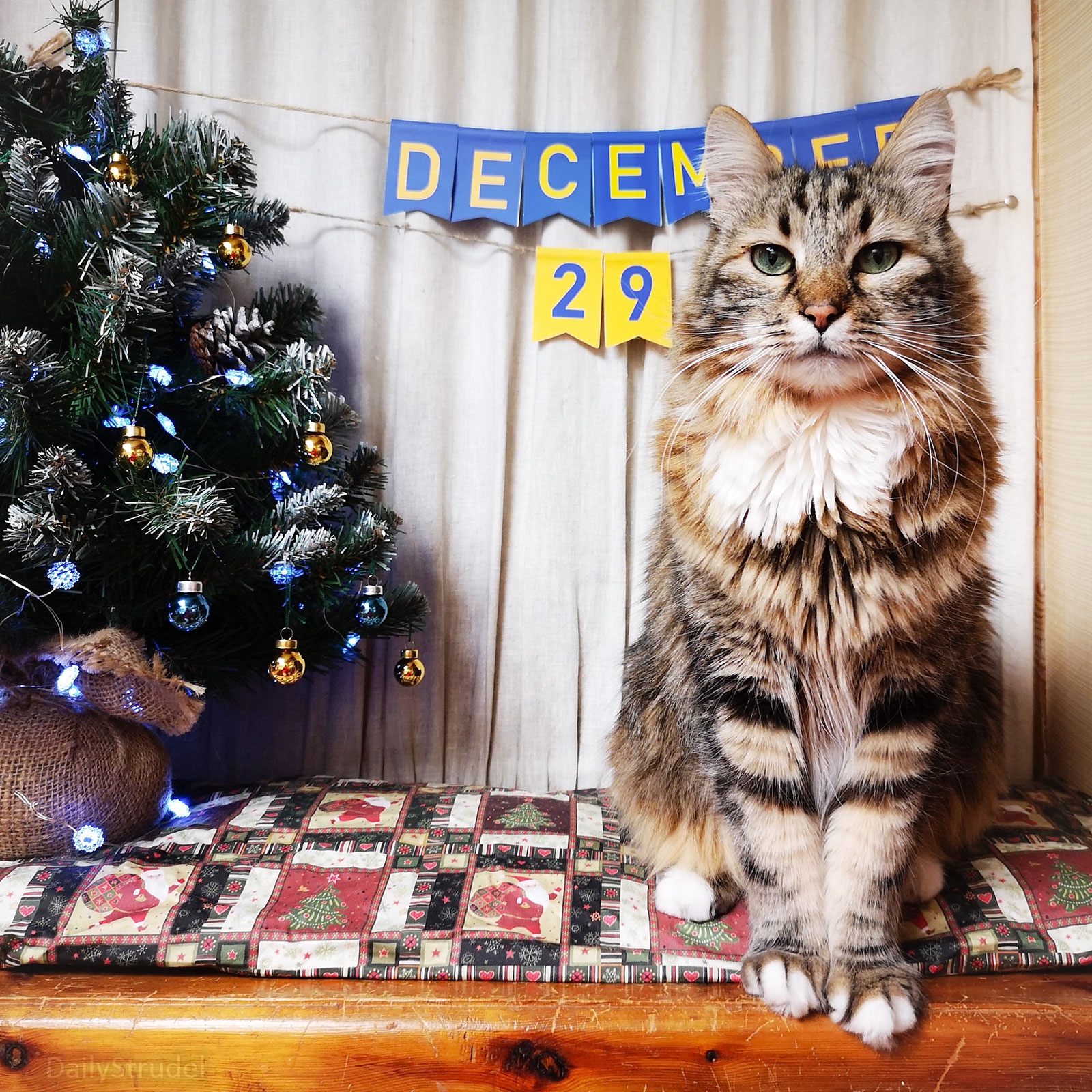 The Last Day of December: December 29