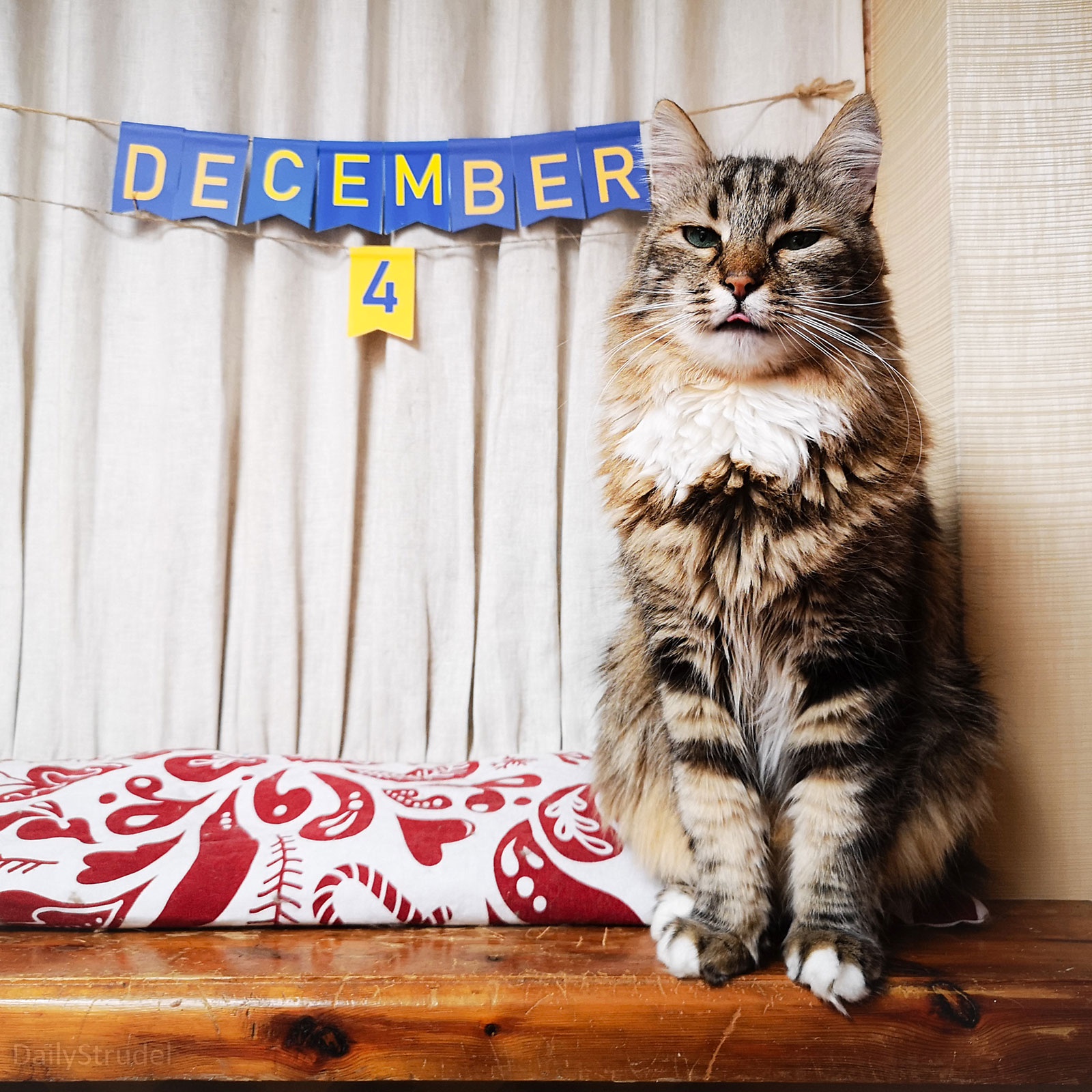 The Significance of December 4