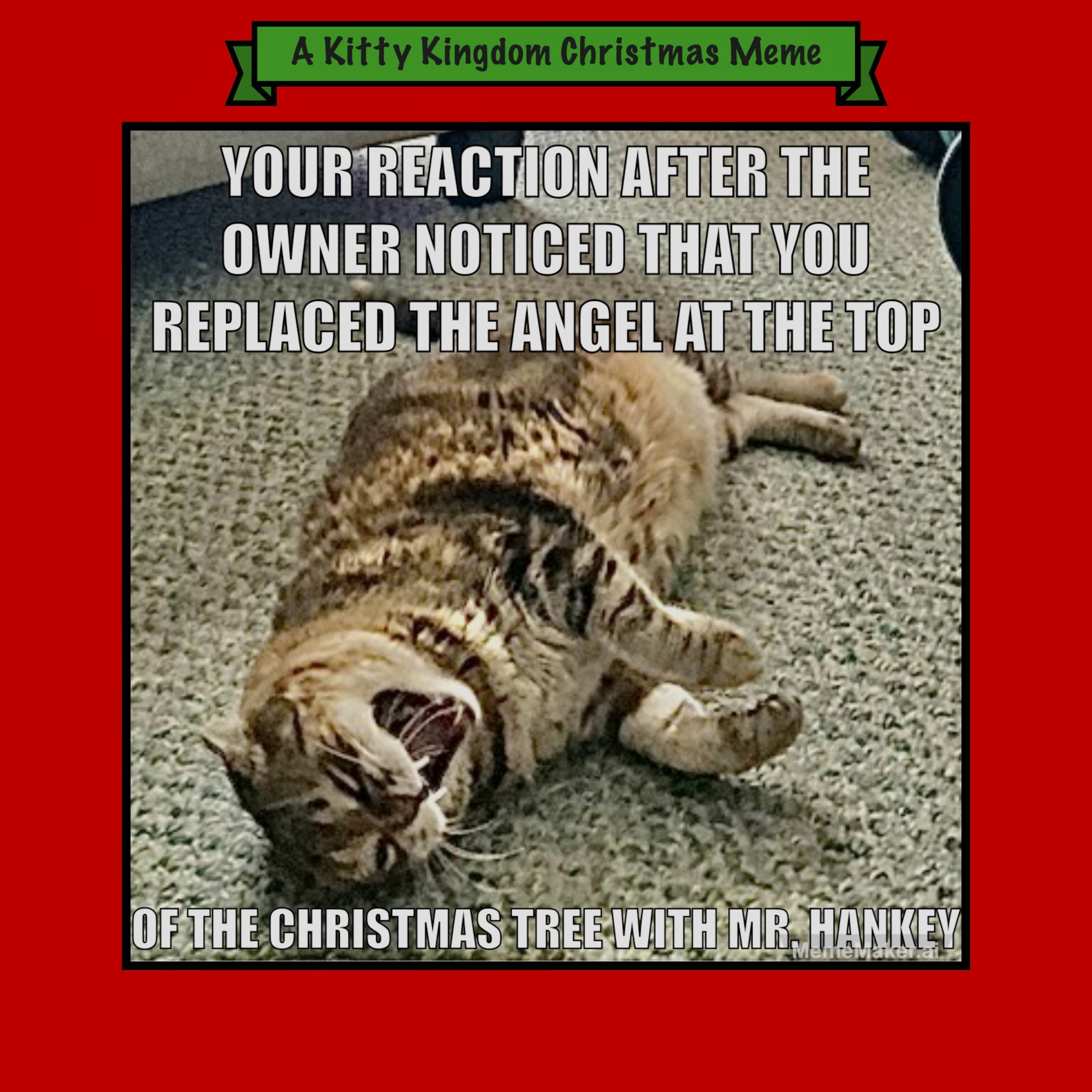Countdown to Christmas in the Kitty Kingdom: Day 10!