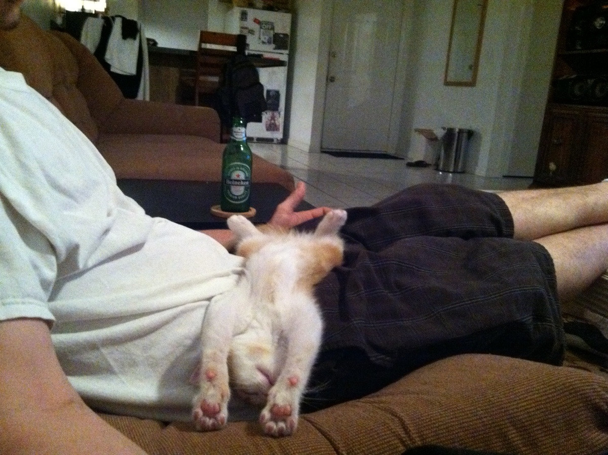 My 16th favorite post: Meet Dillinger, the quirky cat caught napping.