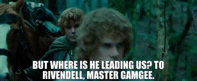 The Enigmatic Rivendell Elf