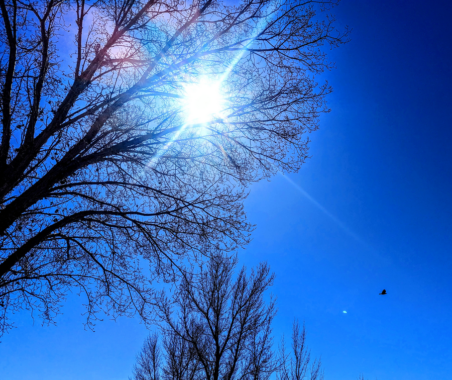 A Glimpse of the Vast Sky Above