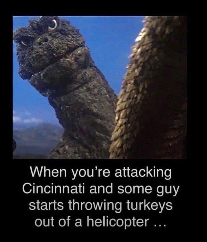 Fun Fact: Turkeys Can't Fly