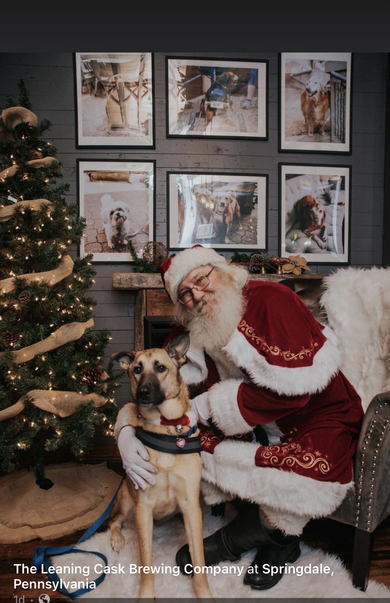 Kizzy's Magical Encounter with Santa