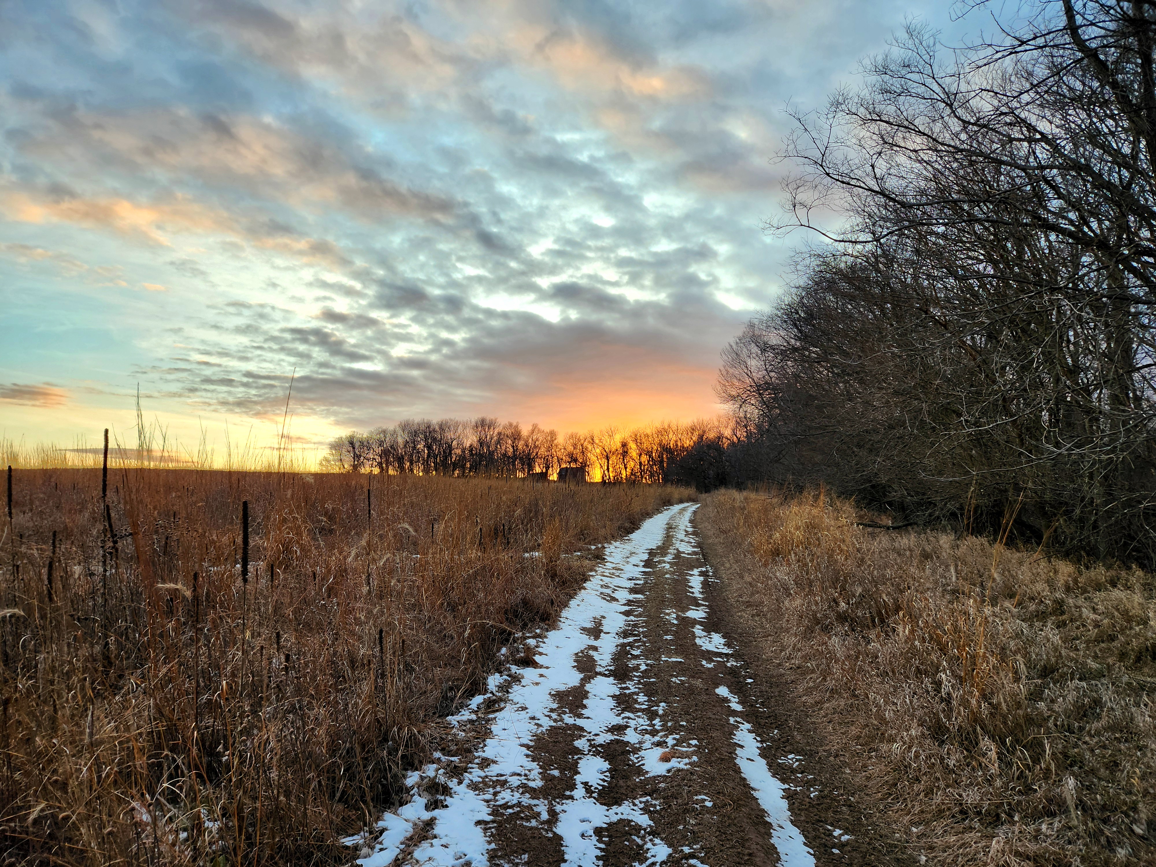 Enjoying the beauty of this evening's hike