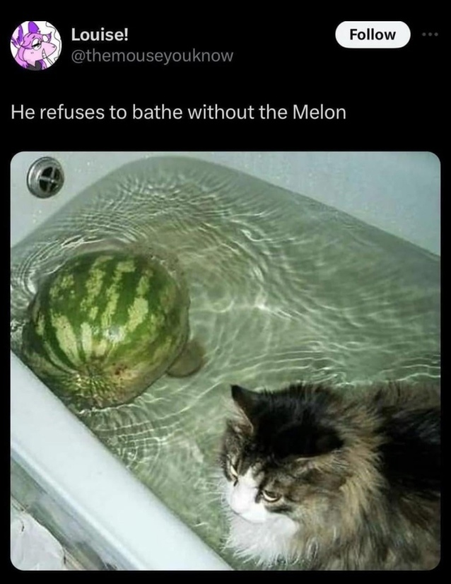 Are These Images Funny or Just Plain Weird?