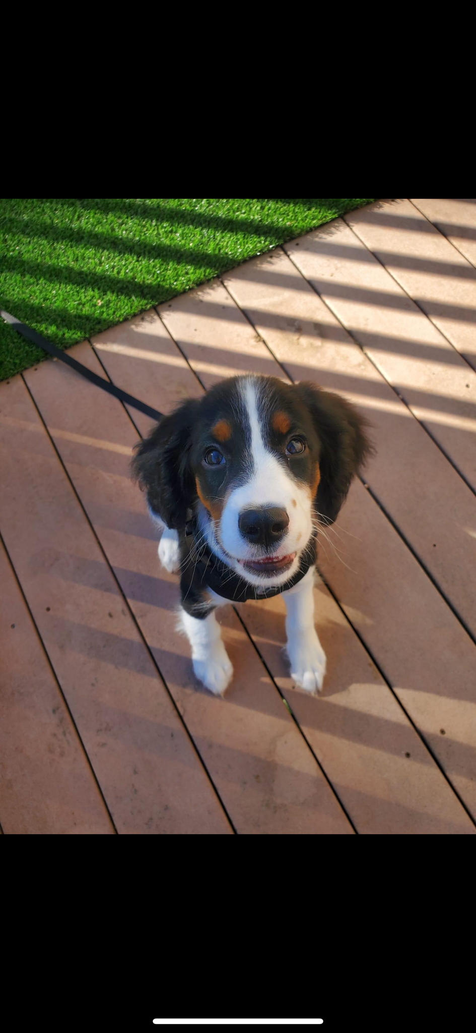 Meet the Charming Handsome Boy
