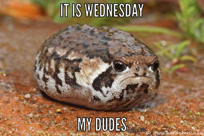 It's Wednesday again, my dudes!
