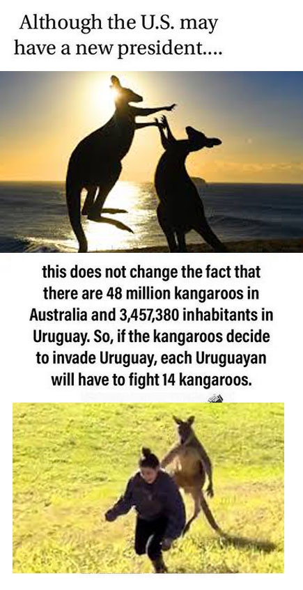 Kangaroos Take on Uruguay in a Wild Showdown