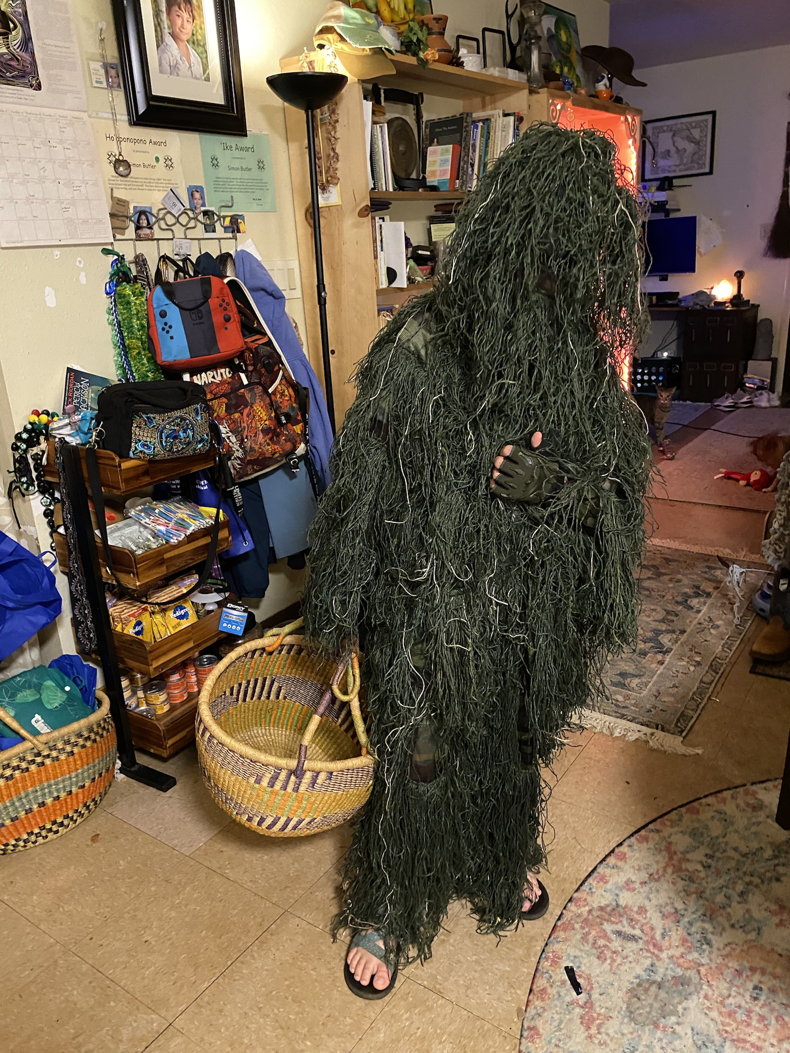 We are on a quest for... a SHRUBBERY!