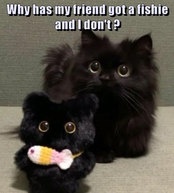 Curious Minds Want to Know: Why?
