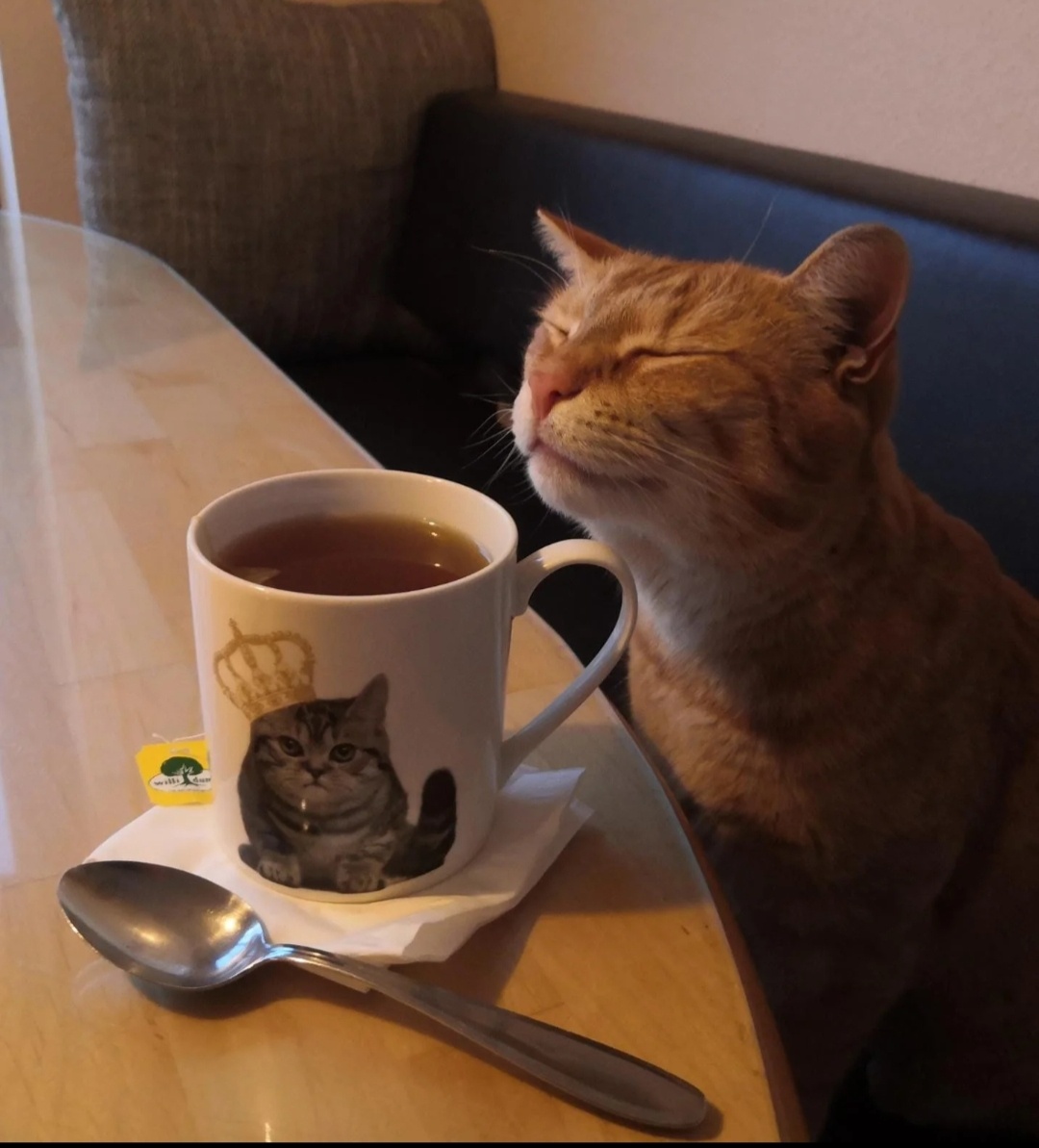 Don't lose hope, just sip on some calming tea.
