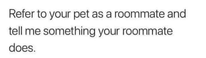 When Your Roommate Decides Your Lap is Their Favorite Spot