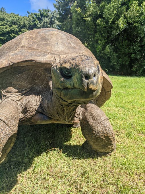 Meet Jonathan: The 192-Year-Old Time Traveler Born in 1832