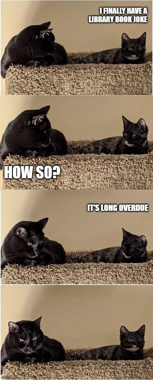 Meet Splunk and Smudge: The Dynamic Duo