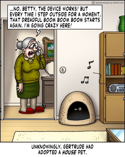The life of a house cat