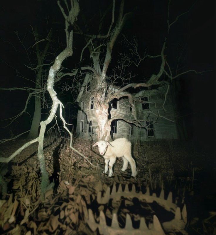 Embracing the Night