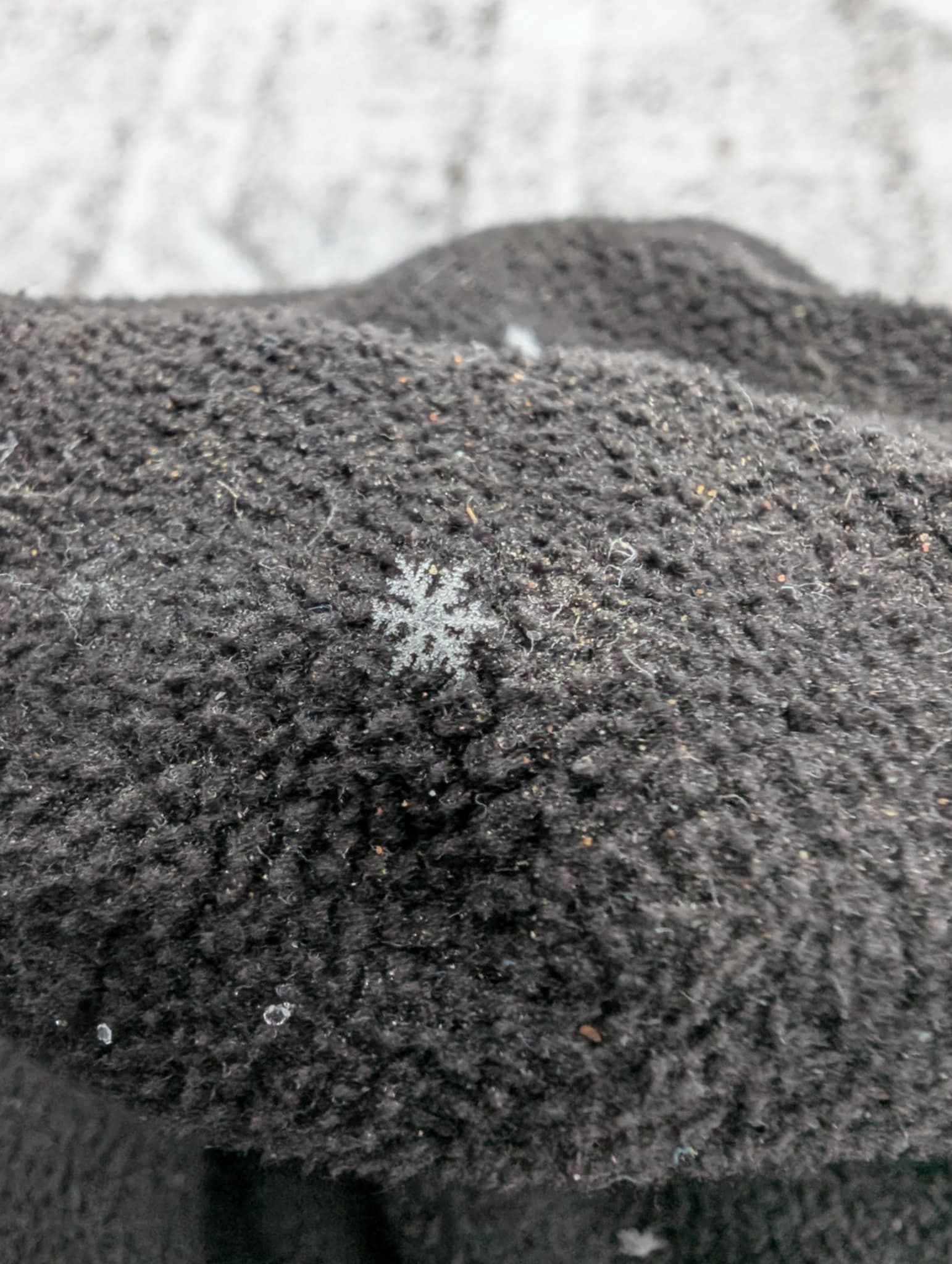 Check out this stunning snowflake that landed on my amazing wife!