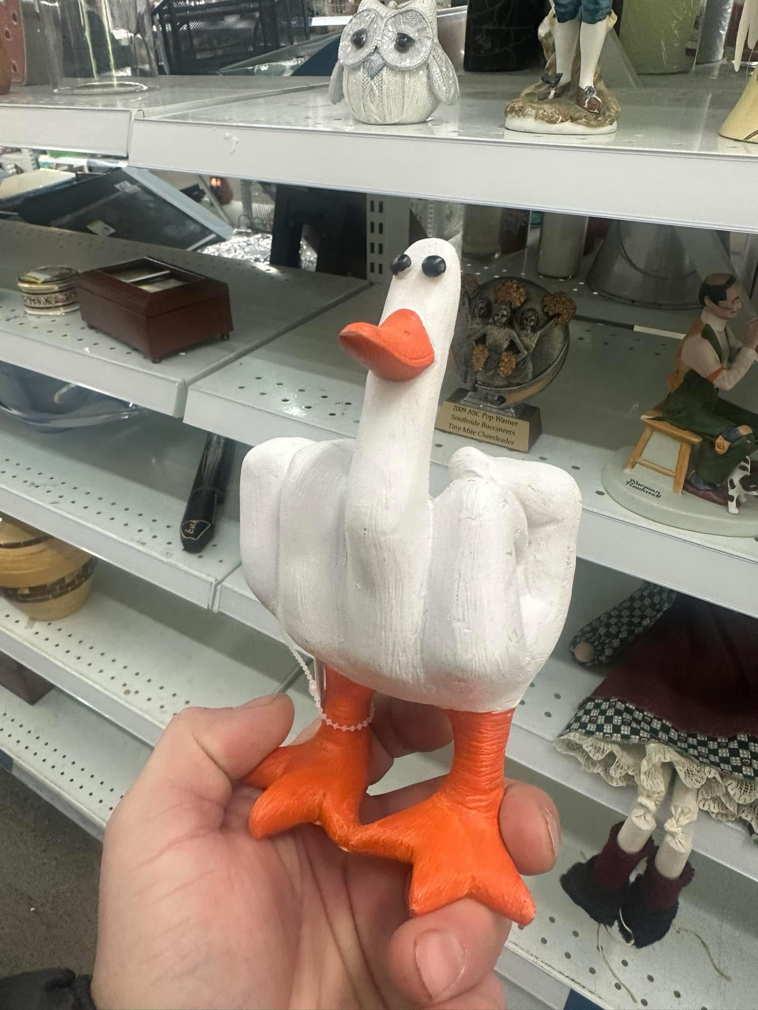 What the Duck?