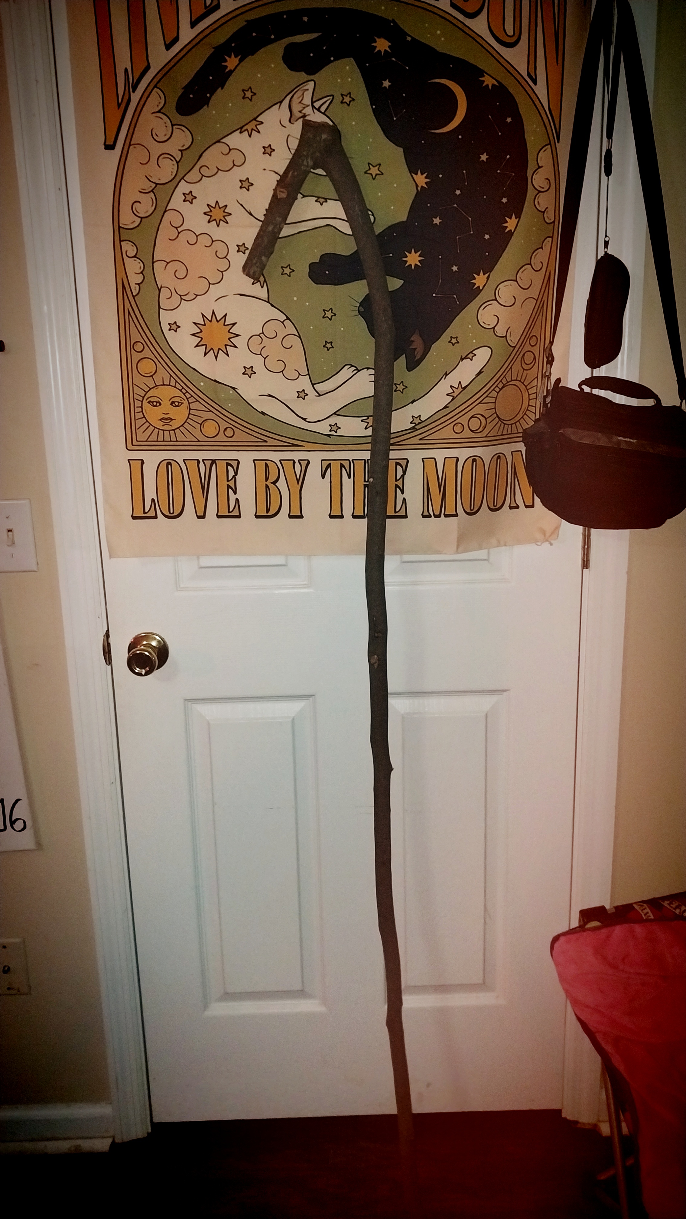 Looks Like We're Showcasing Sticks Here!