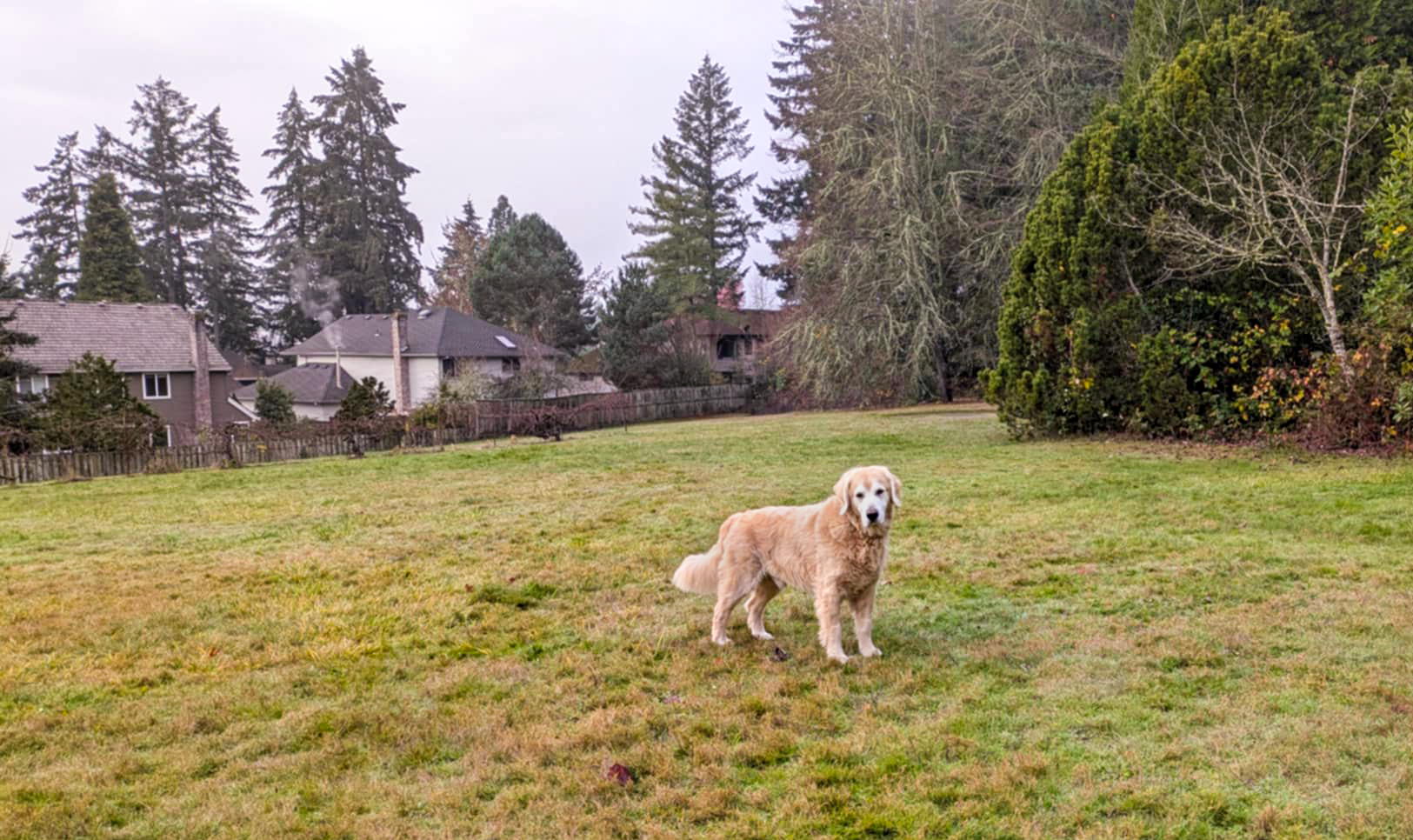 Cooper's Surprise Moment: A Little Accident