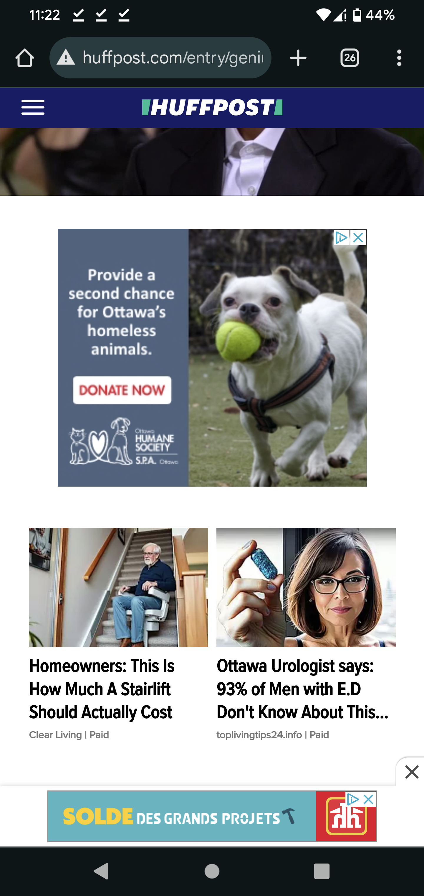 Is That the Dog from Those Heartwarming Humane Society Ads?