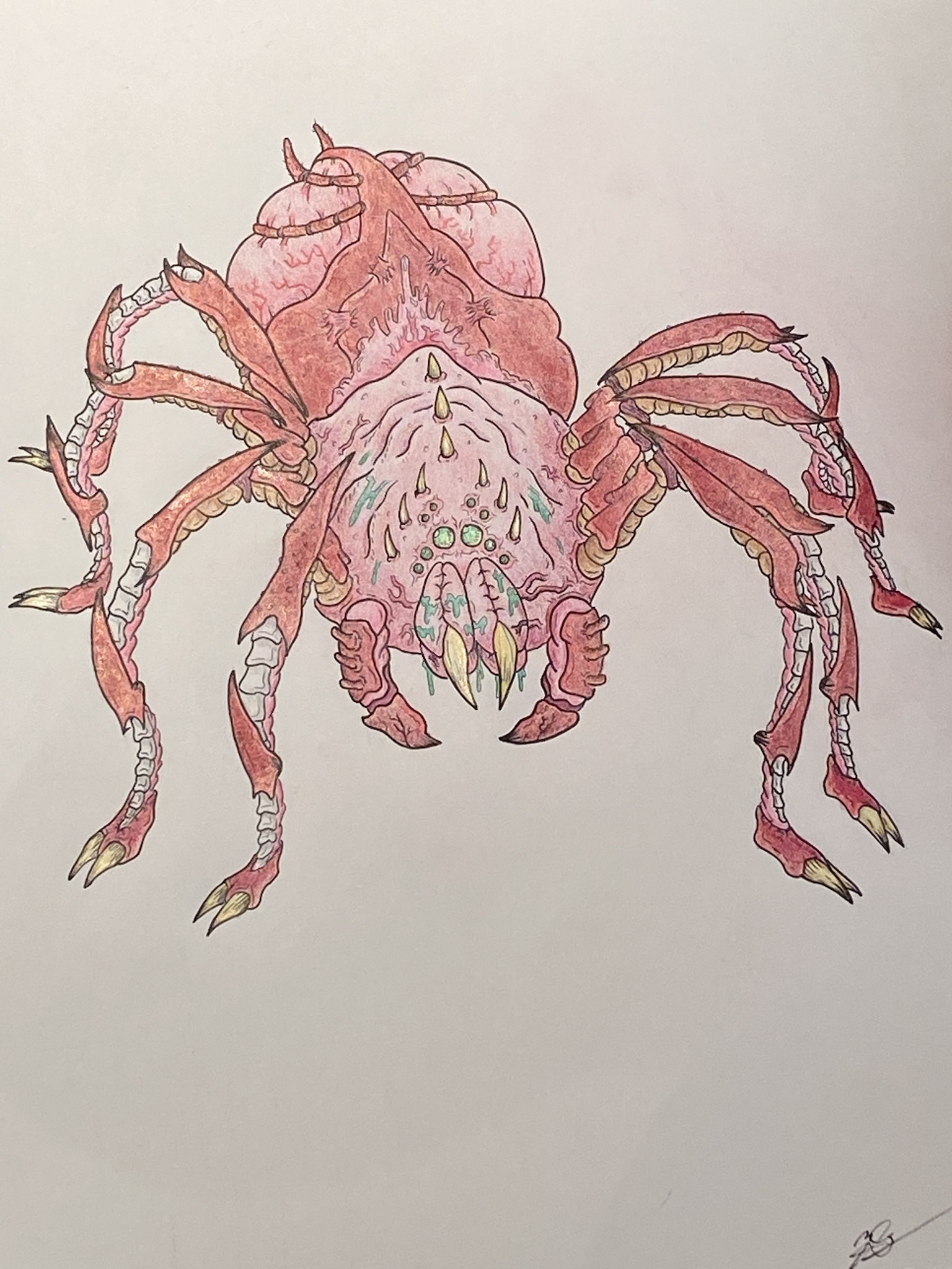 Beware the Doom Spider: A Creepy Encounter Awaits
