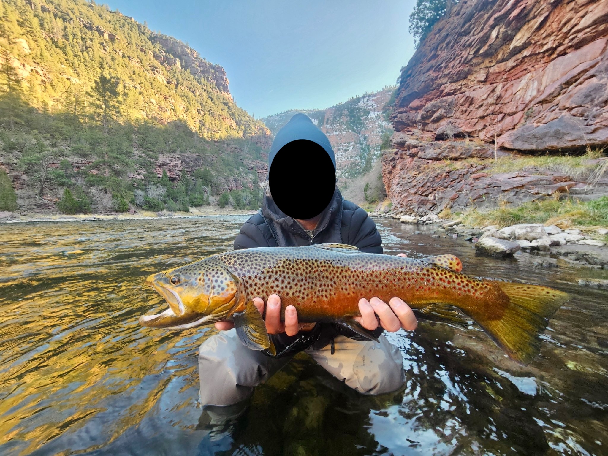Enjoying a Perfect Day by the River