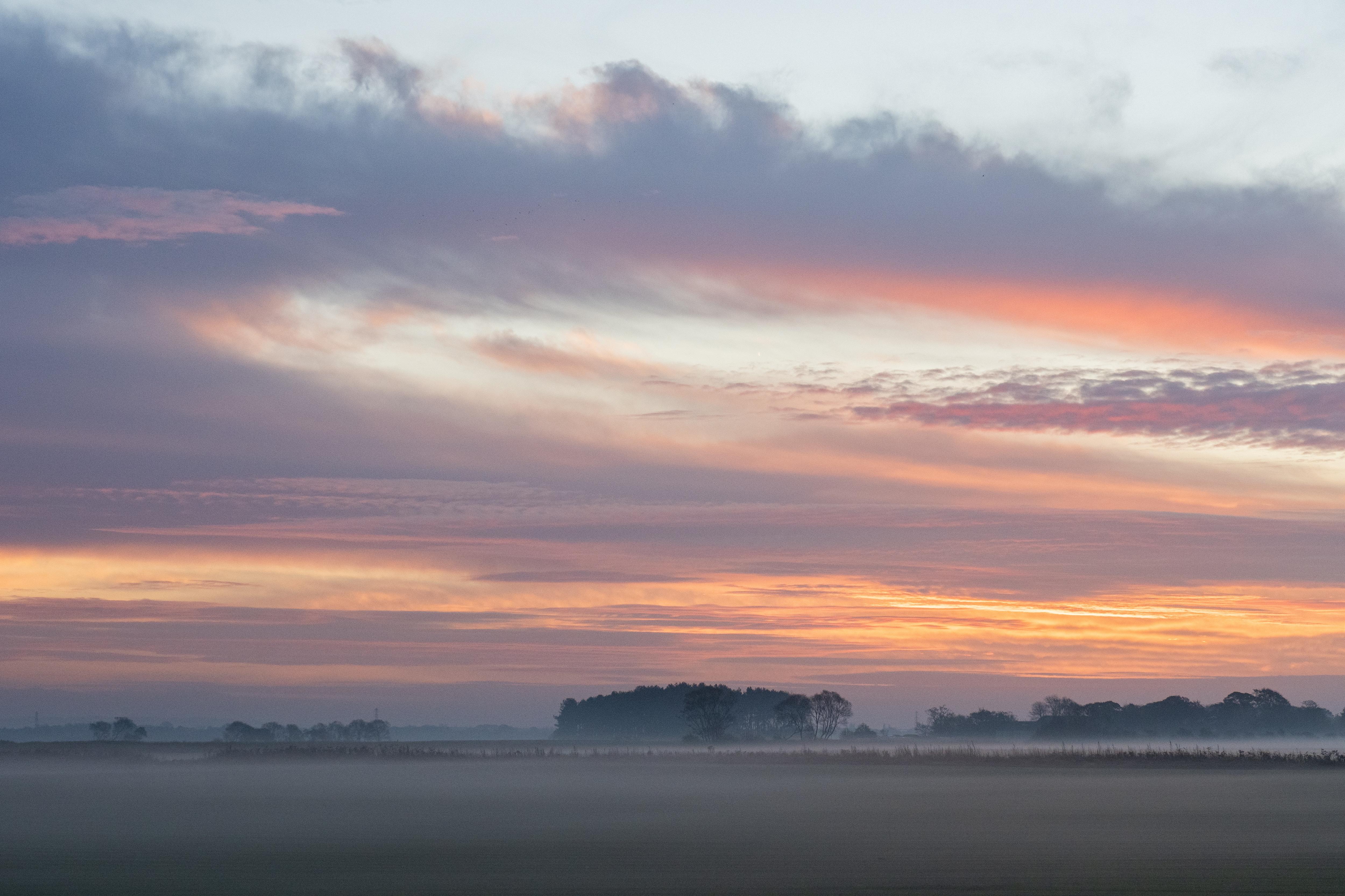Mystical Fog Rising: Nature's Enigmatic Beauty