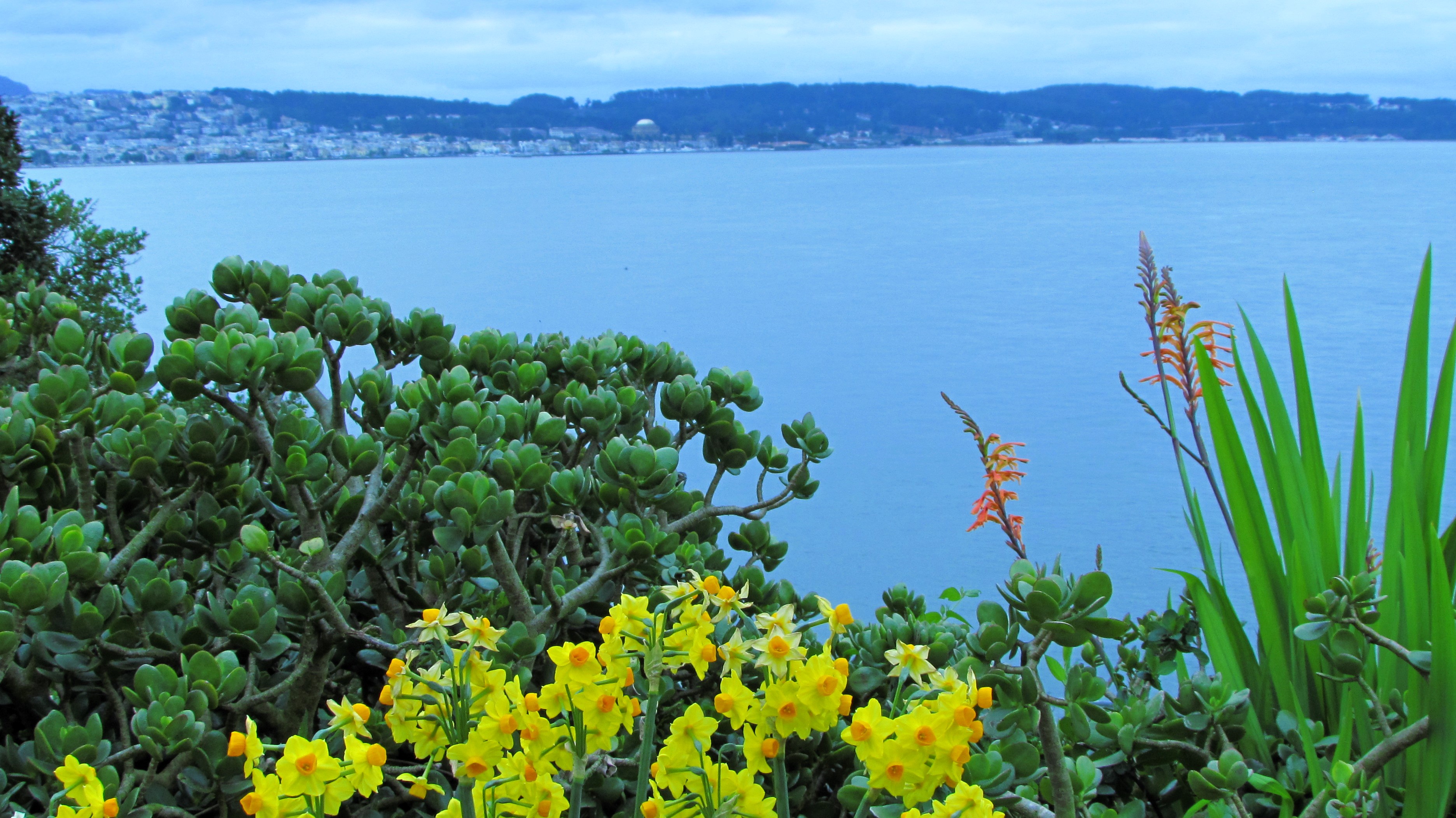 The Gardeners Have Been Hard at Work: A Flourishing Landscape