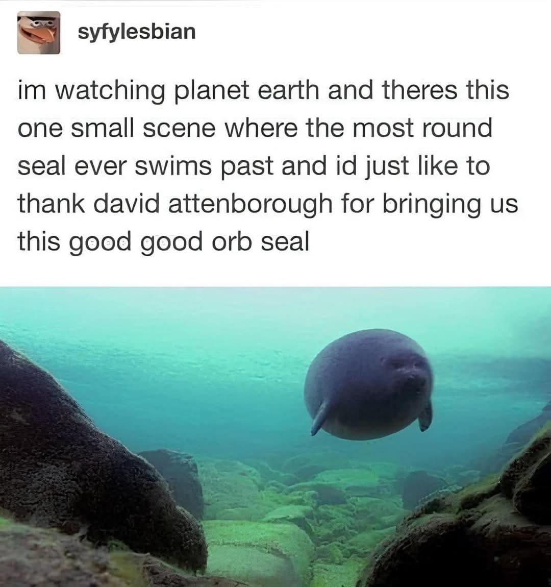 The Mysterious Orb
