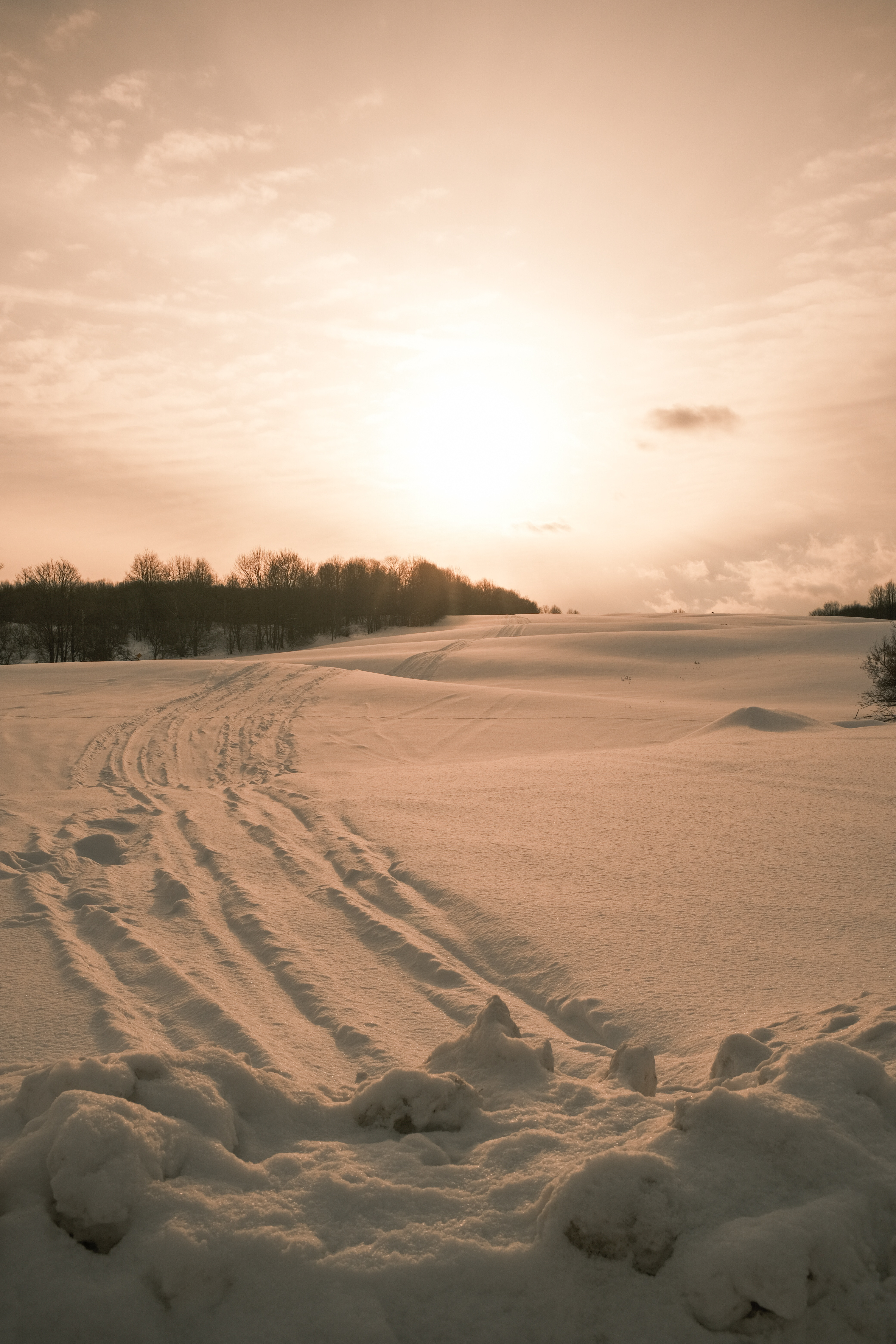 A Winter Wonderland: Snow Meets Sky