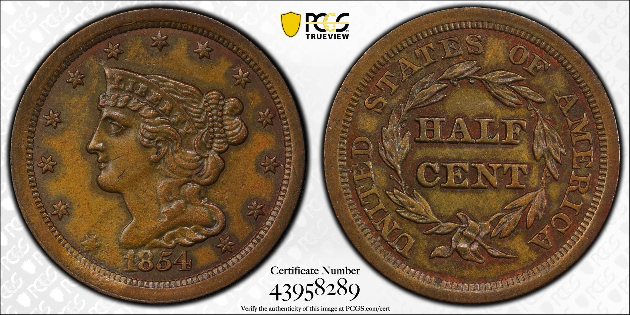 Another Gem: The 1854 Braided Hair Half Cent Graded AU55 by PCGS